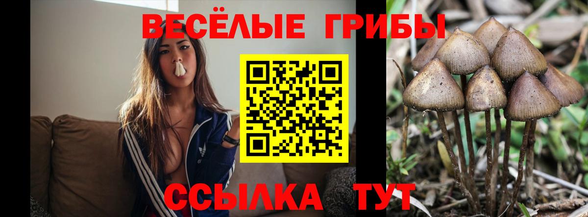 Галлюциногенные грибы MAGIC MUSHROOMS  Вход с VPN  купить наркоту  Печора 